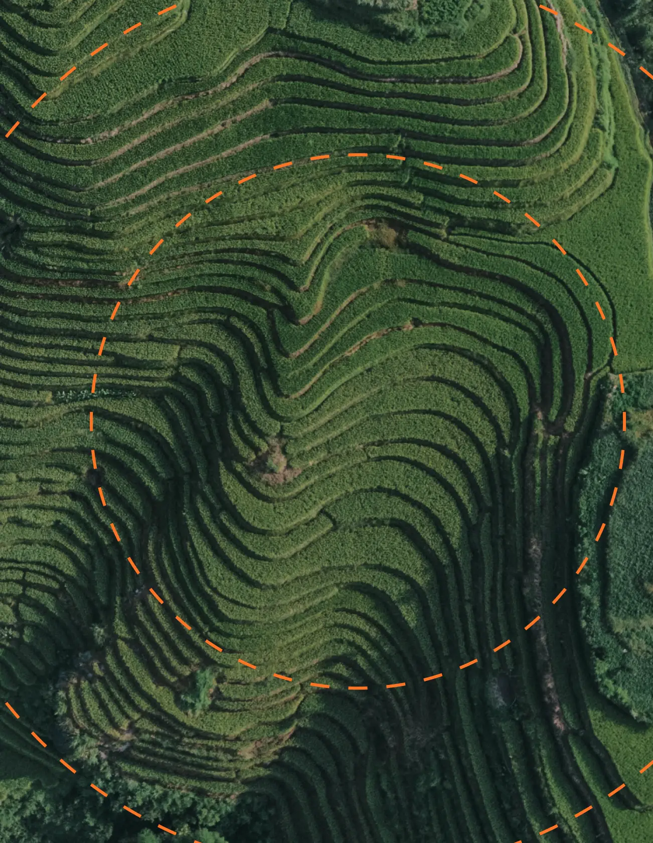 Mission image